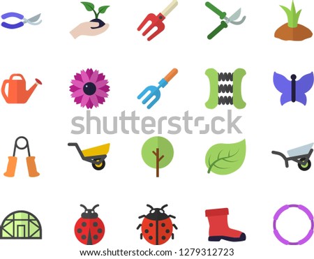Color flat icon set tree flat vector, flower, ladybird, pitchfork, secateurs, seedlings, watering can, planting plants, garden wheelbarrow, gumboots, butterflies, greenhouse, leaf, carpal expander