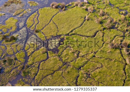 Aerial view of the Okavango Delta, Botswana. The vast inland delta is formed from the Okavango River. This flows into the Delta , creating a beautiful mosaic of water channels, grasslands and forests 