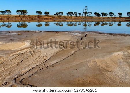 Trees reflected in the pond, Western Australia, Australia.