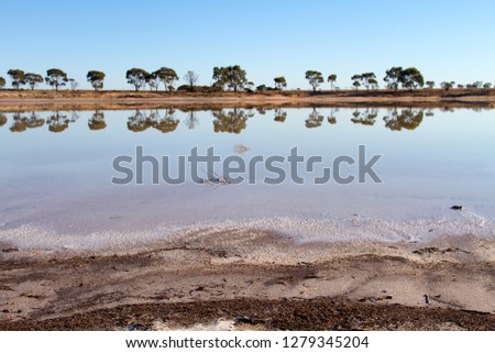 Trees reflected in the pond, Western Australia, Australia.
