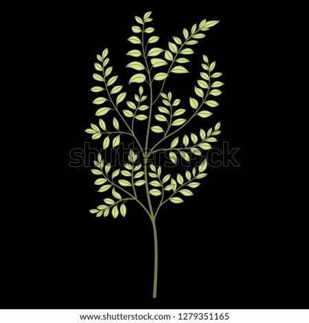 Isolated vector illustration. Young tree or branch with leaves. Hand drawn linear silhouette. On black background.