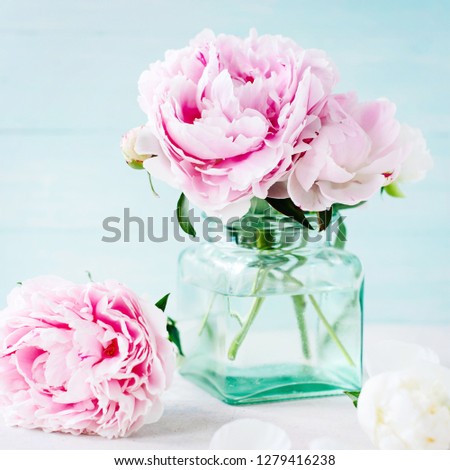 Beautiful vintage peony flower with bright blue background 