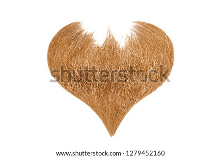 Hair heart. Blond beard isolated on white background