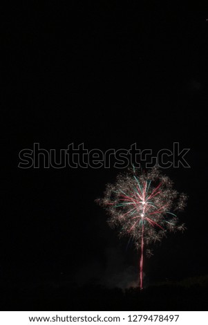 Fireworks against night sky