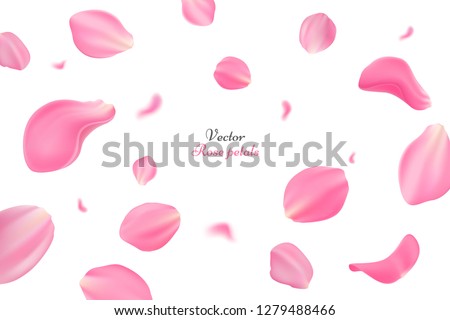 Falling pink rose petals isolated on white background. Vector illustration with beauty roses petals. Applicable for design of greeting cards on March 8, wedding and St. Valentine's Day. Eps 10