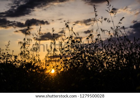 Sunset Landscape in the Countryside