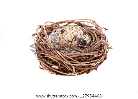 Nest with quail eggs on a white background