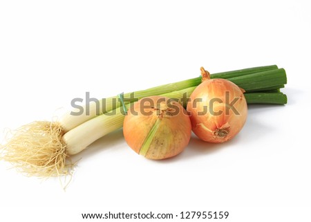 Spring onion and onion (Allium fistulosum and Allium cepa)