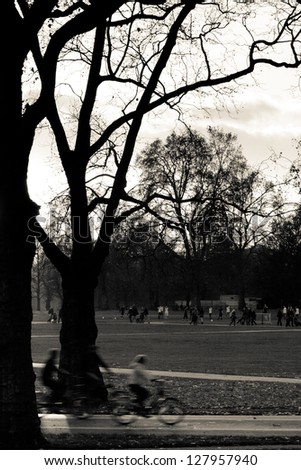Late afternoon at the Hyde Park, London, England