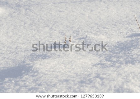 Beautiful snow covered hill detail, winter landscape. Snow surface close up and flakes background.