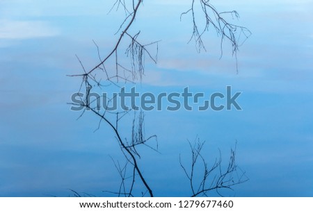 Twigs of a winter tree immersed in the water of Green Lake at a few twig tips with reflections of twigs and partly cloudy sky at Green Lake Park, Seattle.
