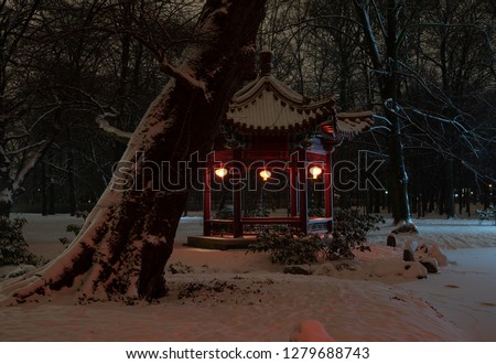Chinese Garden in Lazienki Park in Warsaw on a Winter Night