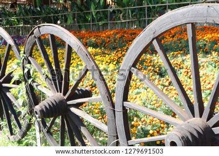 Wheels retro in flower garden