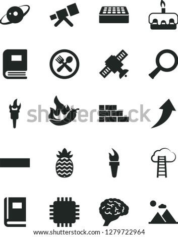 Solid Black Vector Icon Set - minus vector, brick wall, torte, pineapple, hot pepper, cpu, telescope, zoom, brain, satellite, book, saturn, flame torch, arrow up, cloud ladder, cafe, mountains