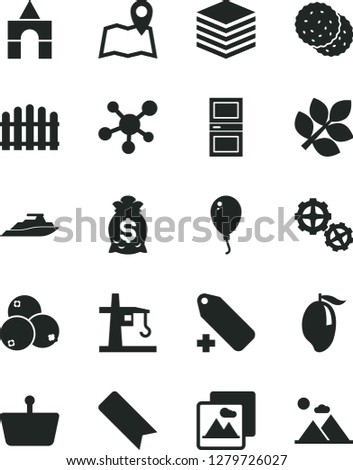 Solid Black Vector Icon Set - bookmark vector, add label, box of bricks, balloon, gears, interroom door, hedge, picture, pile, biscuit, blueberries, mango, tower crane, shopping basket, molecule