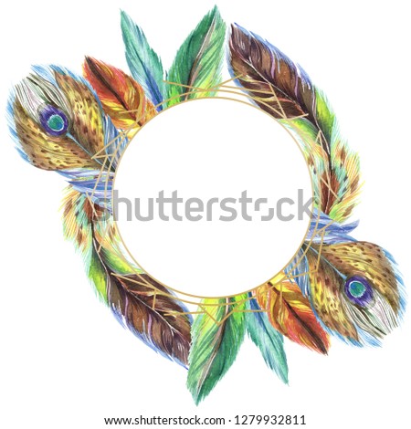 Colorful feathers. Watercolor bird feather from wing isolated. Aquarelle feather for background, texture, wrapper pattern, frame or border. Frame border ornament square.