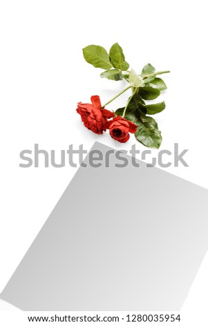 Beautiful red rose with heart on a white background,  with copy space for your text. Top view. Flat lay. minimal photography