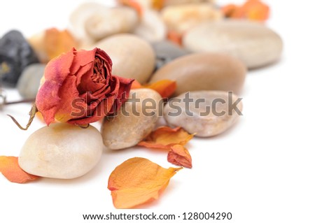  dried orange rose and stone for background decoration