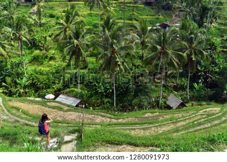 Tourist girl at Tegalalang Rice Terraces, one of the famous touristic places in Bali Island, Indonesia