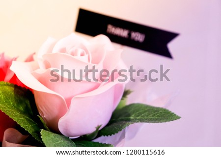 White artificial roses and sign of "Thank you" is behind the  flower. Increasing purple left to right add fantastic atmosphere to image