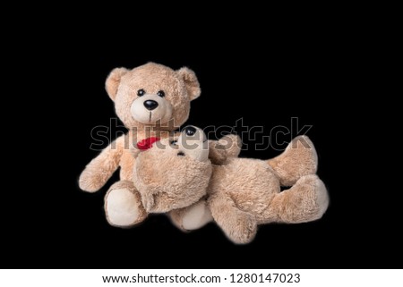 Bear lovers, family love Isolated from the background clipping p