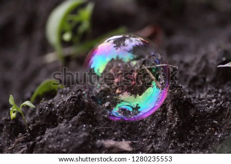 Soap bubble on ground,  Kyivska oblast, Ukraine 
