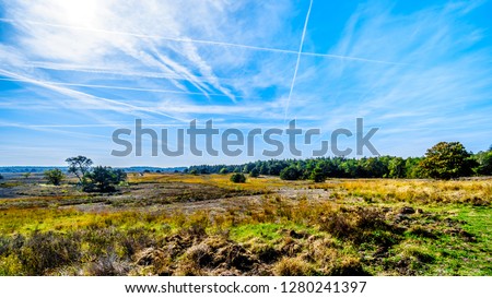 Biking through the heather fields and forests in the Hoge Veluwe nature reserve in Gelderland province in Netherlands Royalty-Free Stock Photo #1280241397