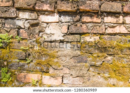Colorful brick cement wall background and texture