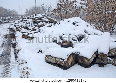 Firewood in a winter warehouse that covered the snow.