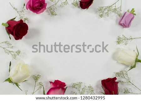 Close-up of rose flowers arranged on white background