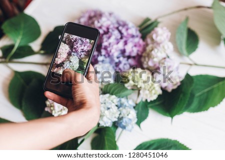 Hand holding phone and taking photo of hydrangea flowers on rustic white wood, flat lay. Content for social media concept, blogging photos. Happy mothers day. Hello spring image