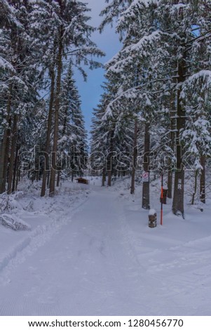 Winter wonderland Thuringian Forest