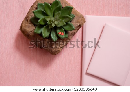 The hand of the little baby. A cute baby. Pink notebook, cactus succulent on a pink background. minimal style. mock-up valentine