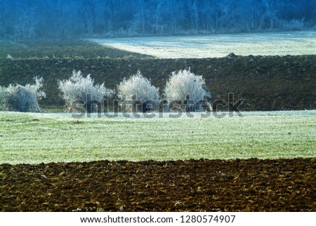 Frozen landscape in Piedmont in northern Italy, during winter.