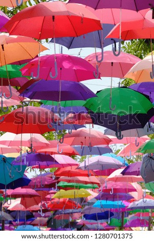 A variety of colorful umbrellas