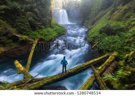 Man standing by a Koosah Falls, also known as Middle Falls, is second of the three major waterfalls of the McKenzie River, in the heart of the Willamette National Forest, in the U.S. state of Oregon. 