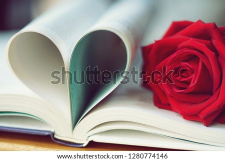 Lovely red color rose on book roll into heart shape, soft color tone, sweet valentine presentation concept, copy space