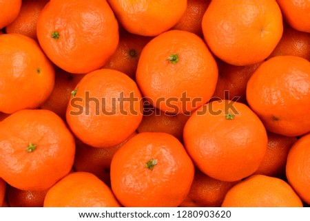 Mandarin orange background. 