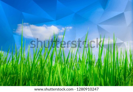 Green leaf background and blue sky Paper effect