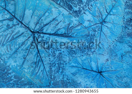 Pattern of leaf stamped on blue pastel concrete pavement for decorate walkways in the garden.