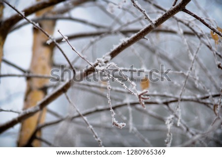 winter natural background for presentation