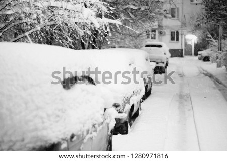 Early morning cars in the yard are covered with fresh white snow after strong snow storms in black and white. focus in the center of the picture.