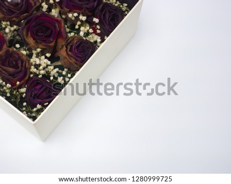 Dry roses in gift box on white background, sadly on Valentine's Day, Copy space.