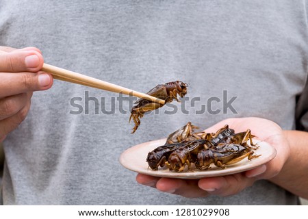 Man's hand holding chopsticks eating Crickets insect on plate. Food Insects for eat as food items, it is good source of meal high protein edible for future food concept. Royalty-Free Stock Photo #1281029908