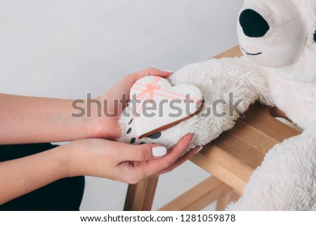 Woman hands and white heart gingerbread on paw of old bear toy on wooden chair isolated on grey background 