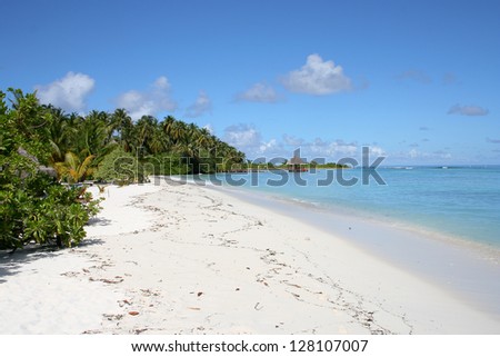 Maldivian island, beach and seaside