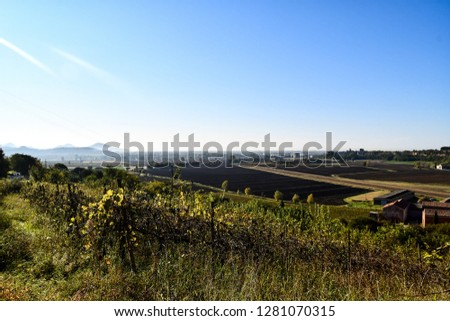 rural landscape with green field and blue sky, digital photo picture as a background