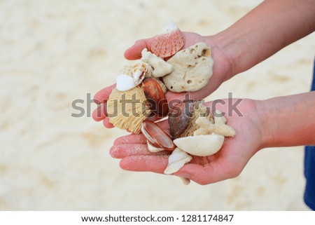 Very kind shells. 