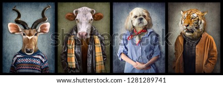 Animals in clothes. People with heads of animals. Concept graphic, photo manipulation for cover, advertising, prints on clothing and other. Antelope, cow, dog, tiger. Royalty-Free Stock Photo #1281289741