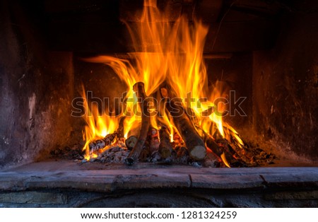 Burning fireplace in the winter season. The firewood burning in fireplace close-up.